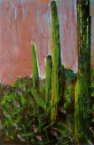 Gold Saguaros, Arizona